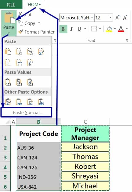 EXCEL COPY FORMATTING BY THE PASTE SPECIAL VIA THE RIBBON_1