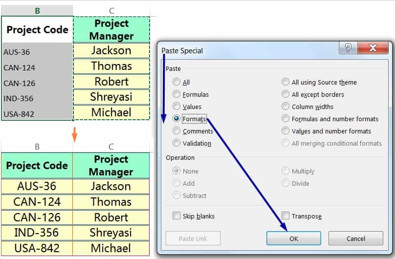 EXCEL COPY FORMATTING BY THE PASTE SPECIAL VIA THE RIBBON_2