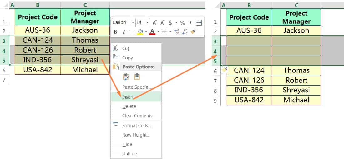 INSERT MULTIPLE ROWS IN EXCEL USING THE MOUSE RIGHT-CLICK_1