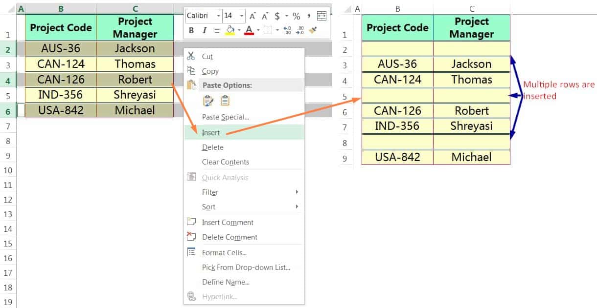 INSERT MULTIPLE ROWS IN EXCEL USING THE MOUSE RIGHT-CLICK_2