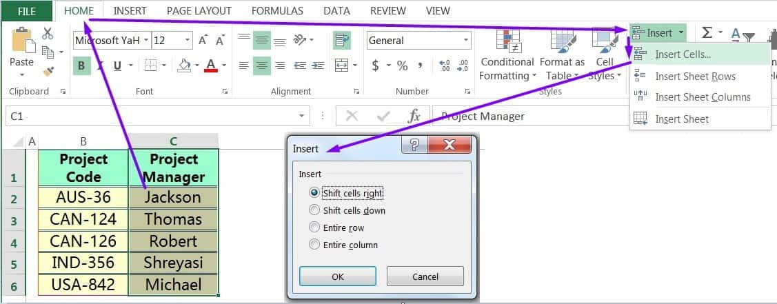 INSERT CELLS IN EXCEL USING THE RIBBON