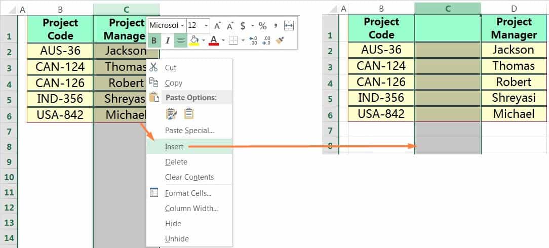 INSERT COLUMN IN EXCEL USING THE MOUSE RIGHT-CLICK